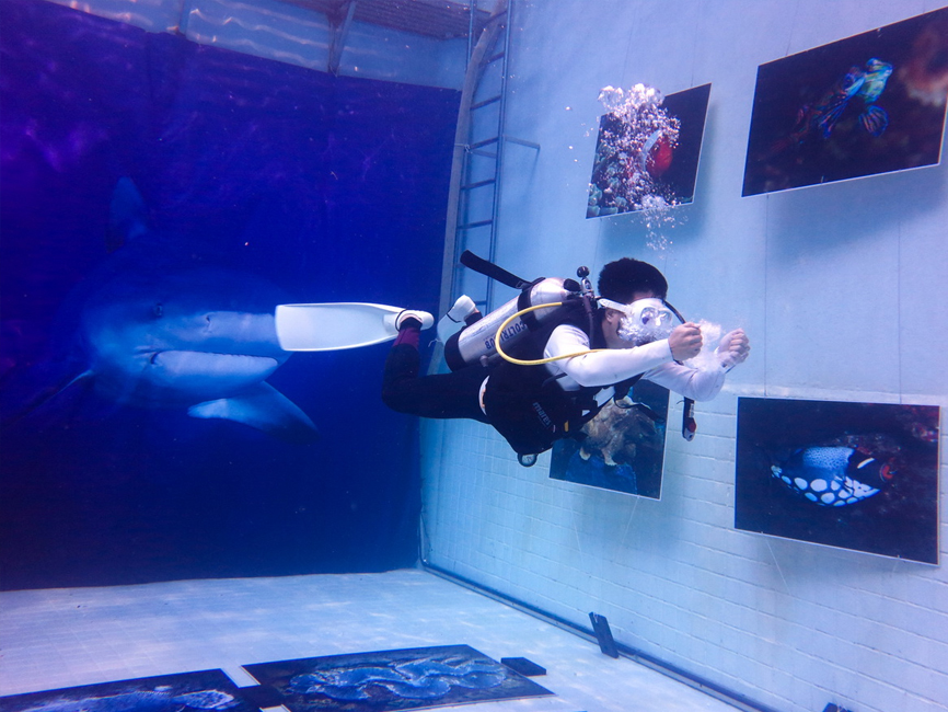 2015 VEFAC 越南水展